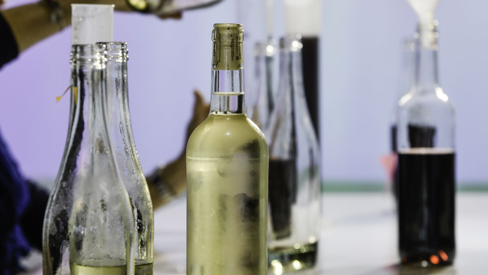 Aven d'Orgnac Les vignerons ardéchois