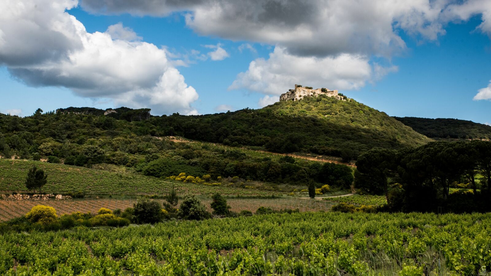 Château de Gicon