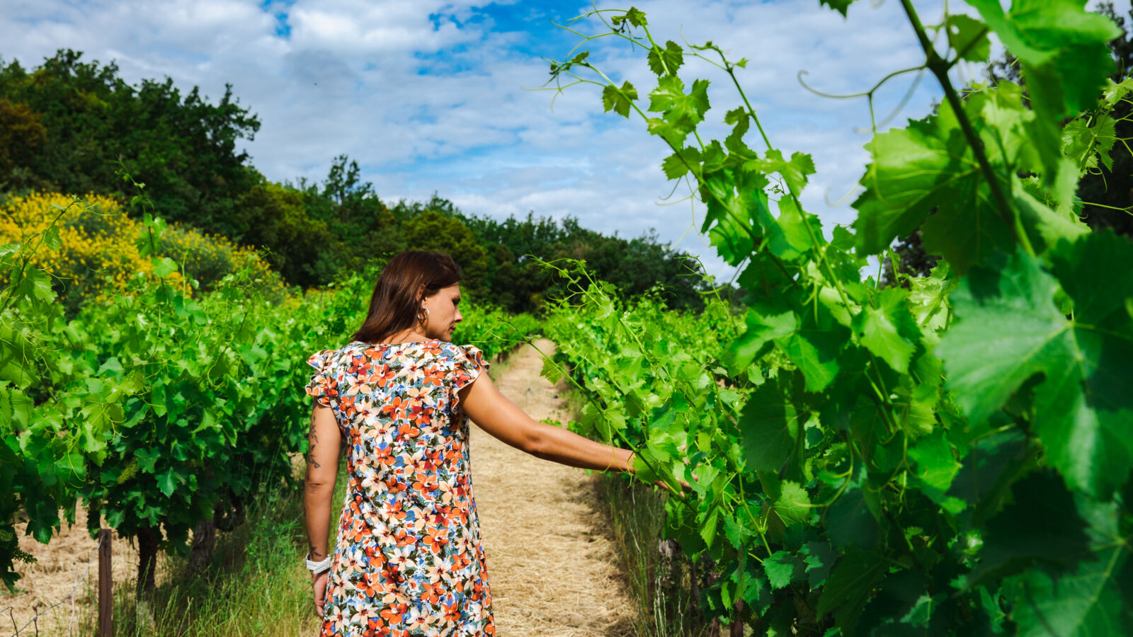 le temps d'une journée, glissez vous dans la peau d'un enquêteur et partez à la découverte du vignoble